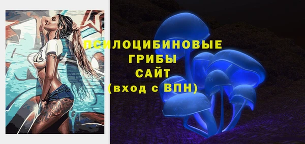 индика Баксан