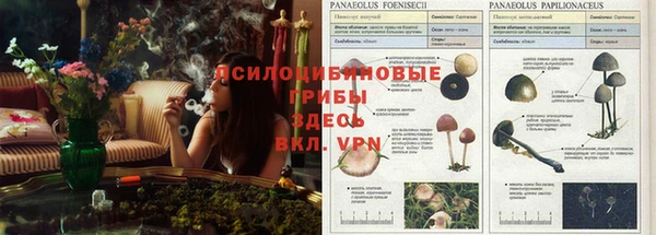 таблы Балабаново